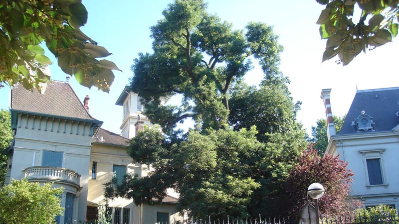 Lyon 6e Arrondissement — Parc de la Tête d'Or - 11