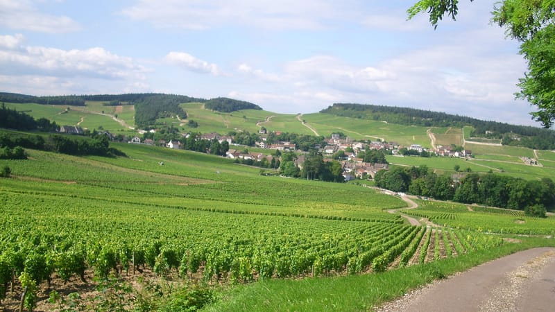 Mercurey — IMG Vignoble de Mercurey 12
