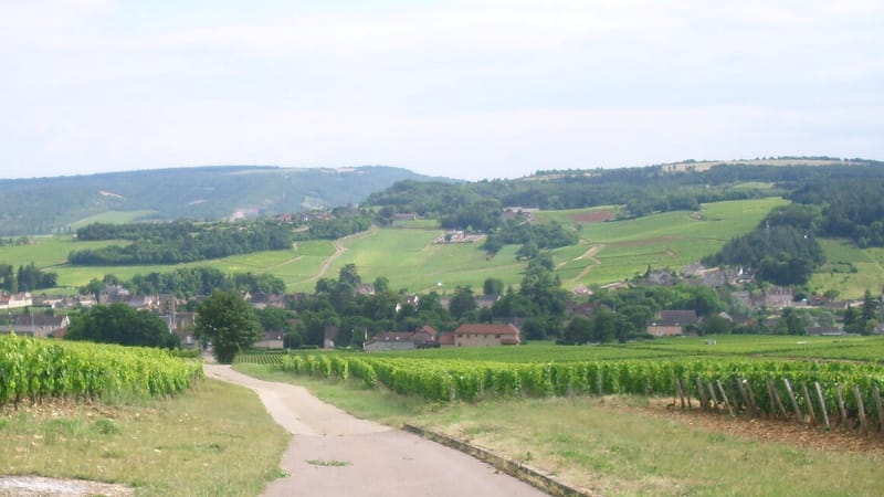 Mercurey — IMG Vignoble de Mercurey 13