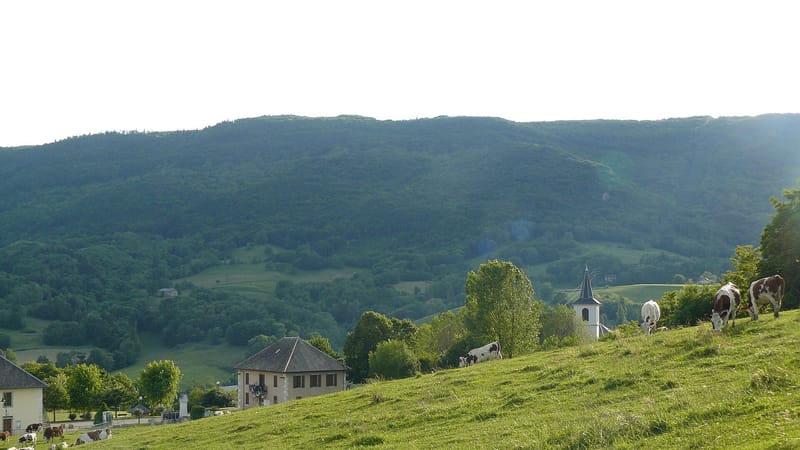 Rumilly — Mairie et église de Moye depuis la route qui mène au cimetière