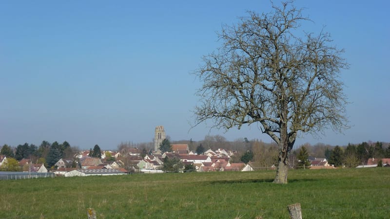 Tournan-en-Brie — Vue sur Presles-en-Brie depuis le Chemin du Mez (1) - panoramio