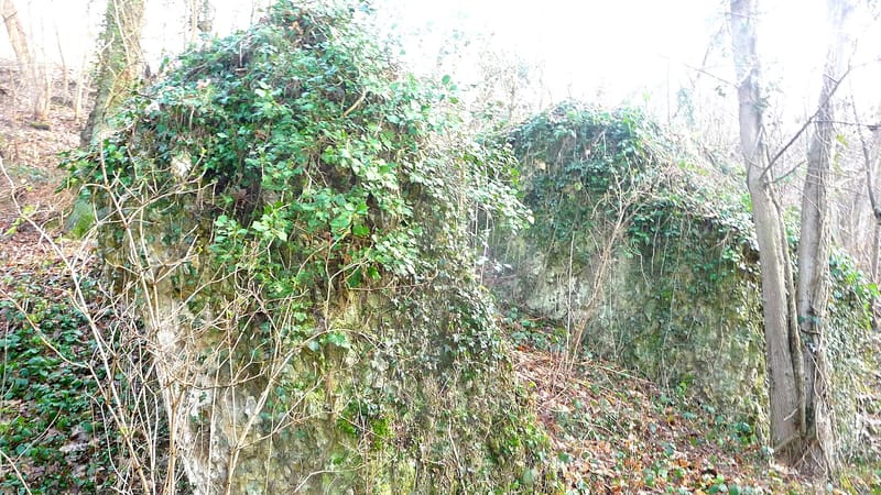 Guyancourt — Vestiges moulin du val
