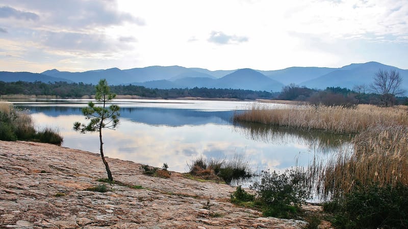 Le Cannet-des-Maures — Le Cannet-des-Maures. Lac des Escarcets