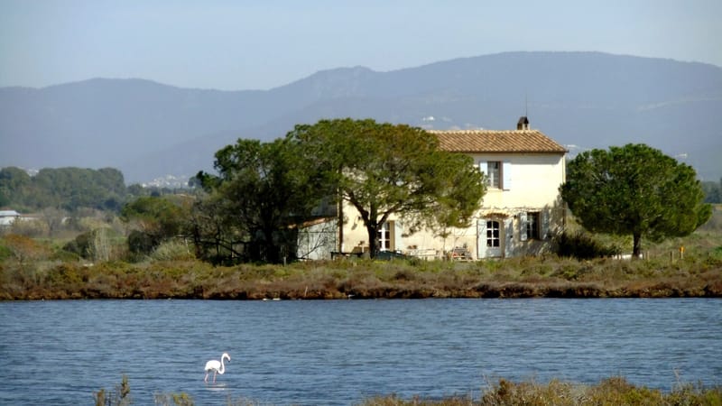 Hyères — Hyères, Var, France - Les Vieux salins, maison (2)