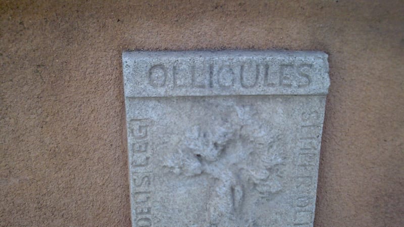 Ollioules — Ollioules6