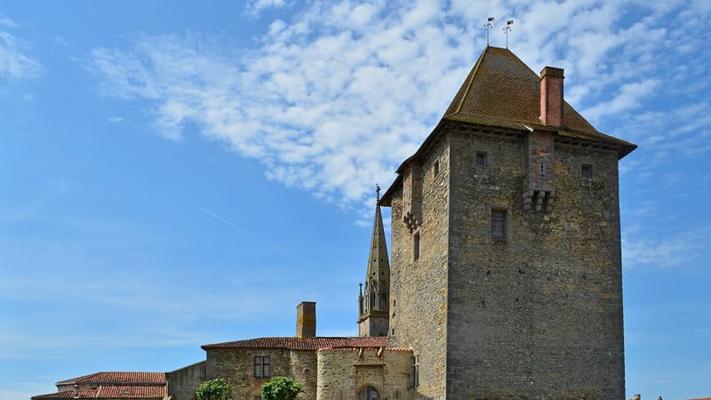 Les Herbiers — Ardelay - Chateau 01