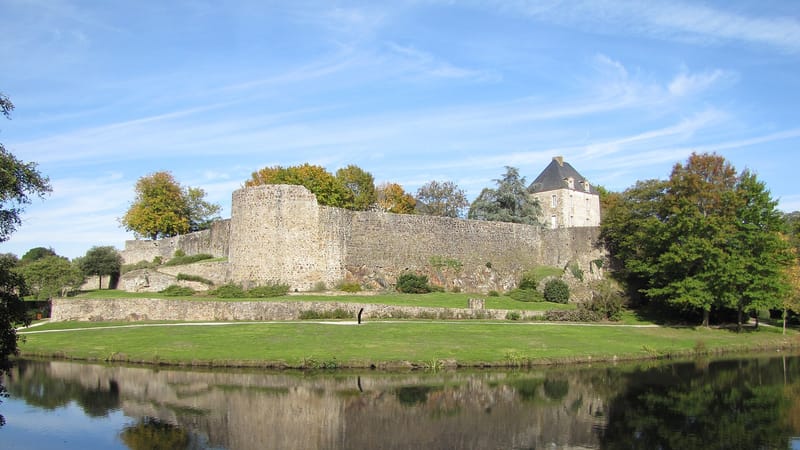 Montaigu-Vendée — Château de Montaigu.