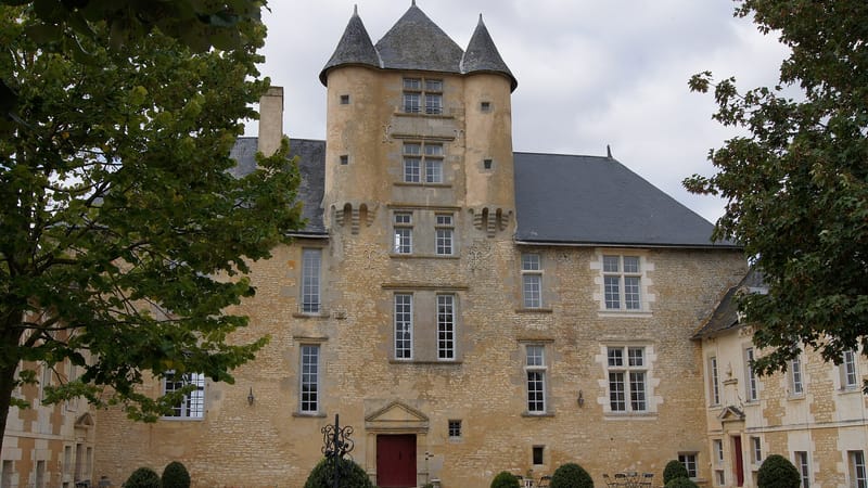 Chasseneuil-du-Poitou — Château d'Avanton