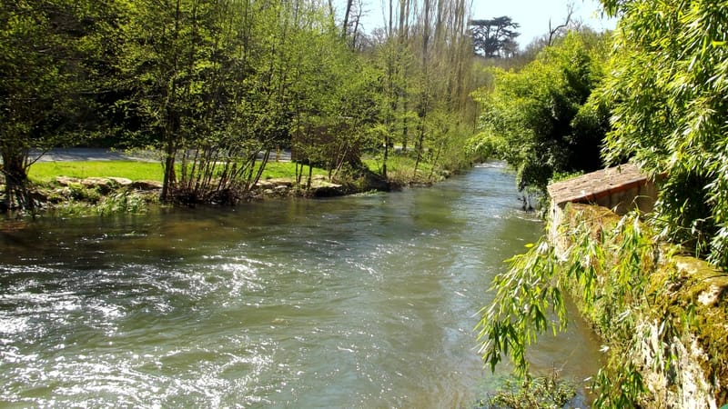 Vouneuil-sous-Biard — Boivre (1)