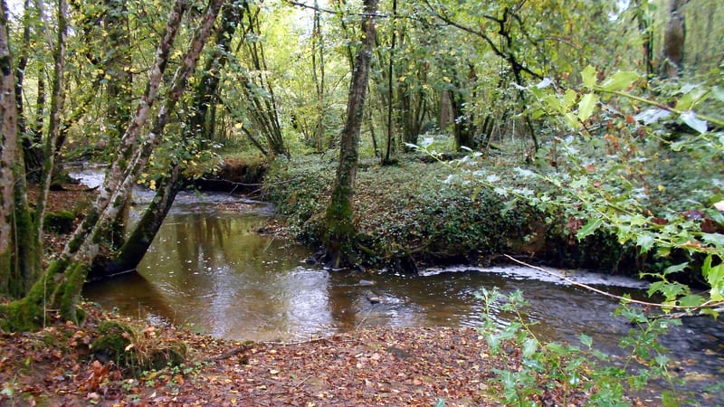 Verneuil-sur-Vienne — Aixe-Vienne-Mayeras 20