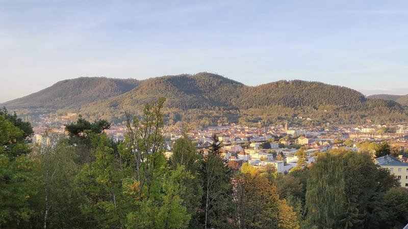 Saint-Dié-des-Vosges — Saint-Dié-des-Vosges depuis le centre hospitalier