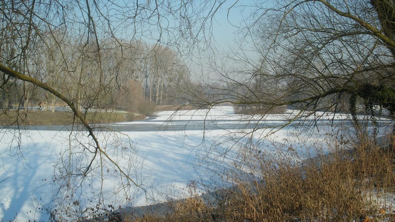 Saint-Michel-sur-Orge — Parc Lomoy