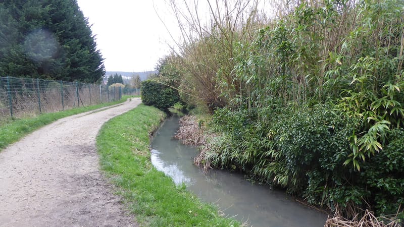 Verrières-le-Buisson — Chemin pédestre le long du bras vif