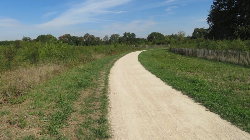Limeil-Brévannes — Tegeval à Limeil-Brevannes vers le bois de Granville