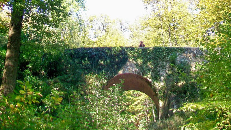 Taverny — Taverny (95), le pont du Diable, forêt de Montmorency