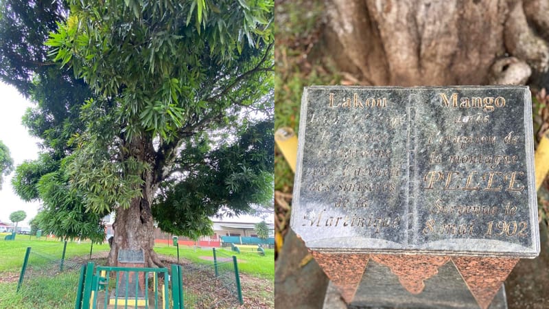 Remire-Montjoly — Wiki Lakou Mango