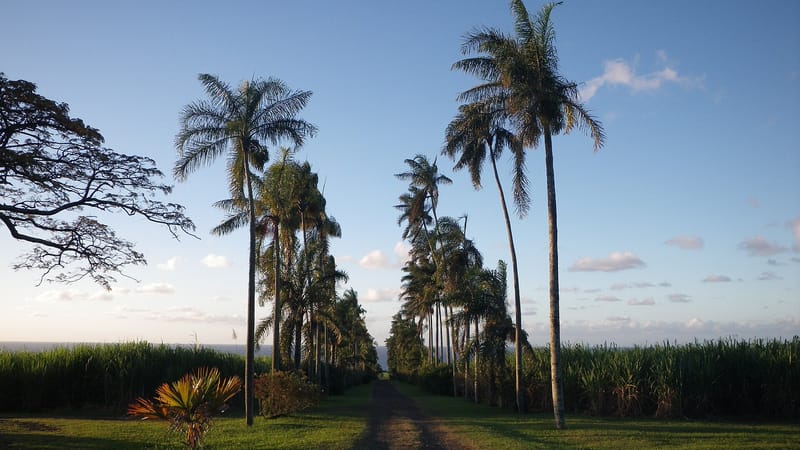 Sainte-Suzanne — Domaine du Grand Hazier