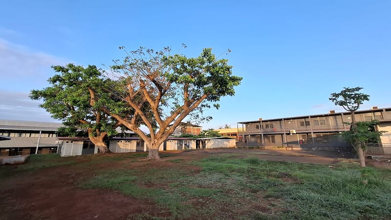 Ouangani — Place avant