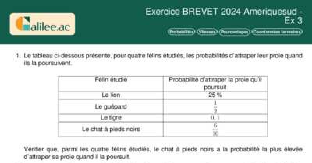 Ex Corrigé Brevet 2024 : Probas & Vitesses - Amerique Sud - Corrigé PDF
