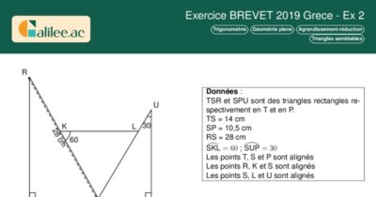 Brevet 2019 : Triangles Semblables & Trigonométrie - Ex 2 - Corrigé PDF